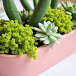Coupe Cuenta : Découvrez 15 Inspirations Créatives et Tout Savoir sur la Coupe en V